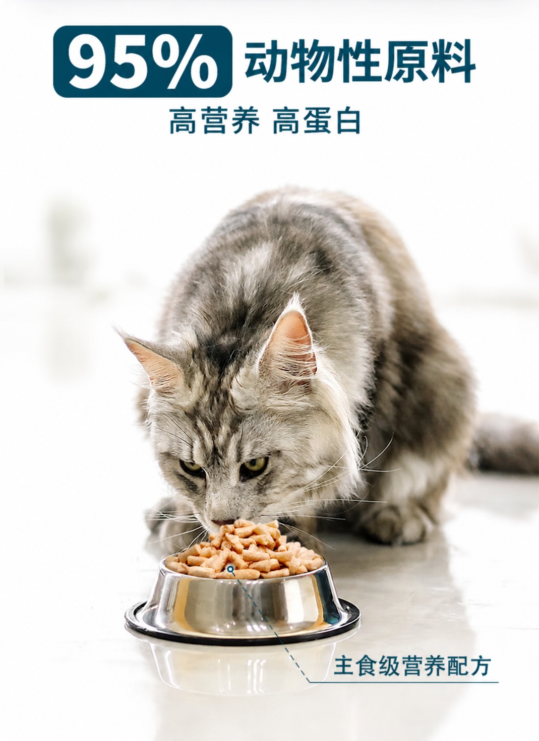 鲜朗无谷冻干全阶段主食猫粮高蛋白营养鸡肉冻干成猫幼猫粮 冻干主食猫粮300g【单包装】 6