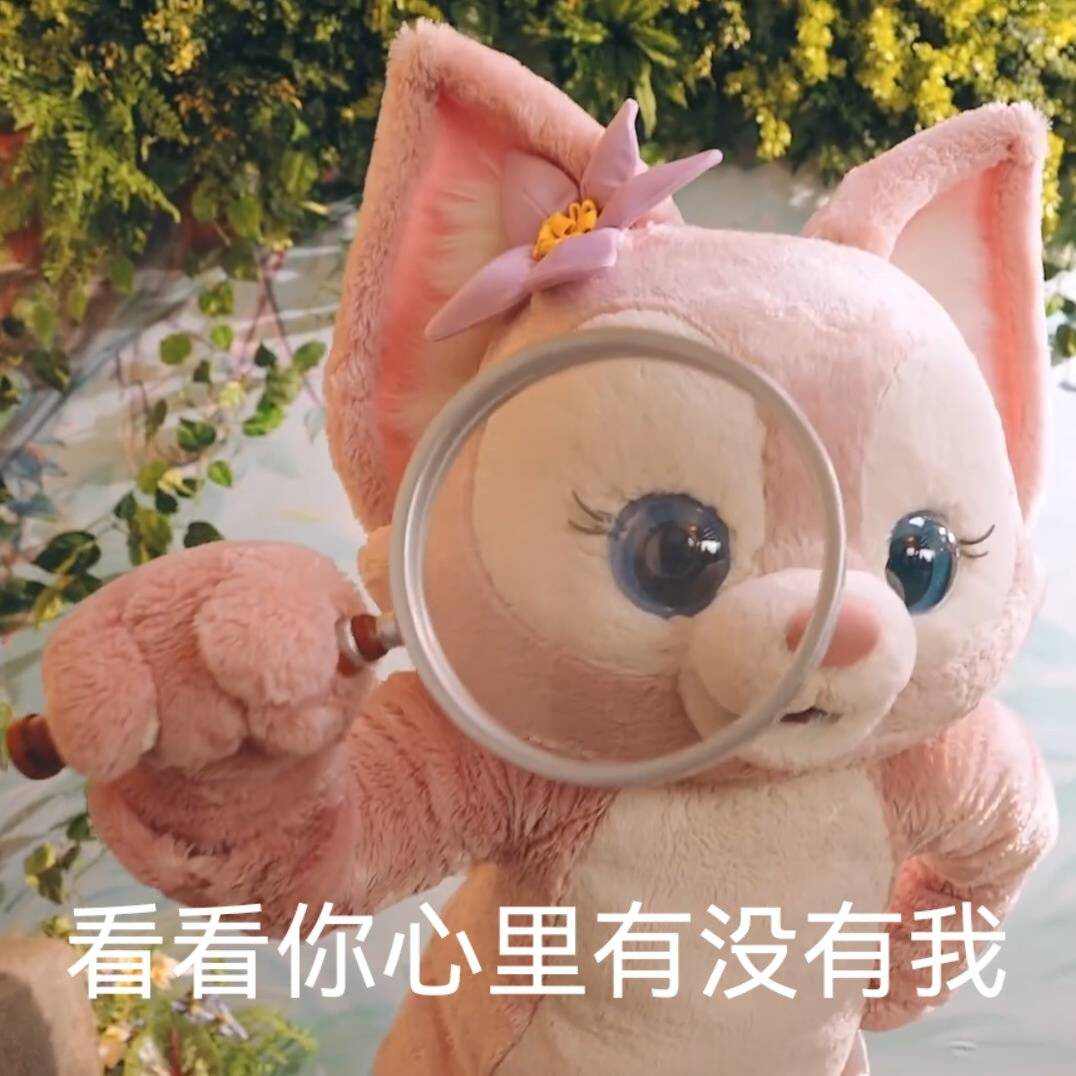 达人动态