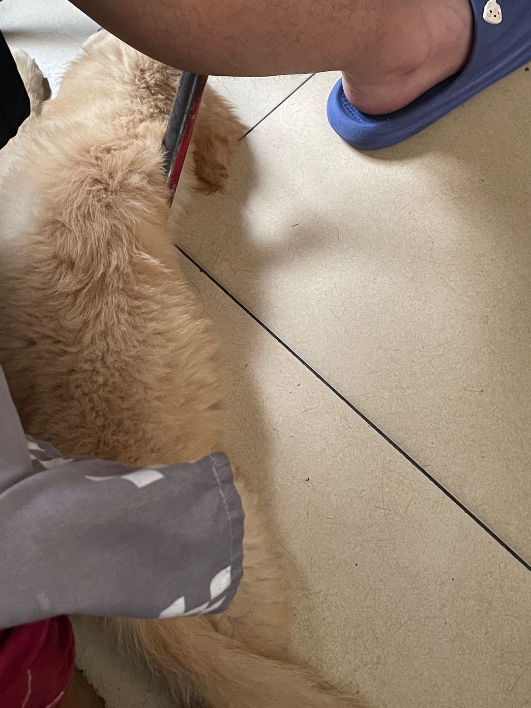 闲置详情