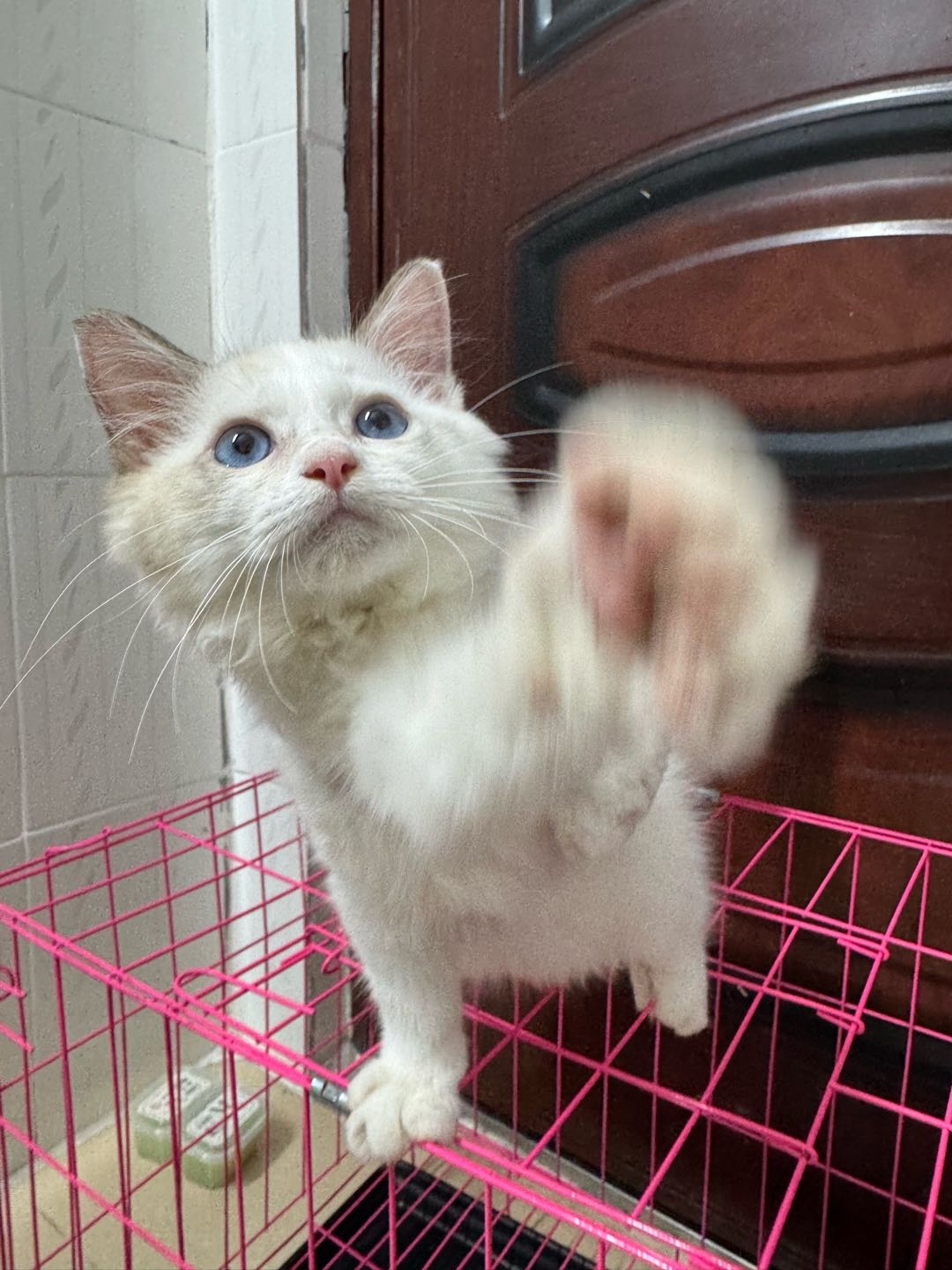 闲置详情