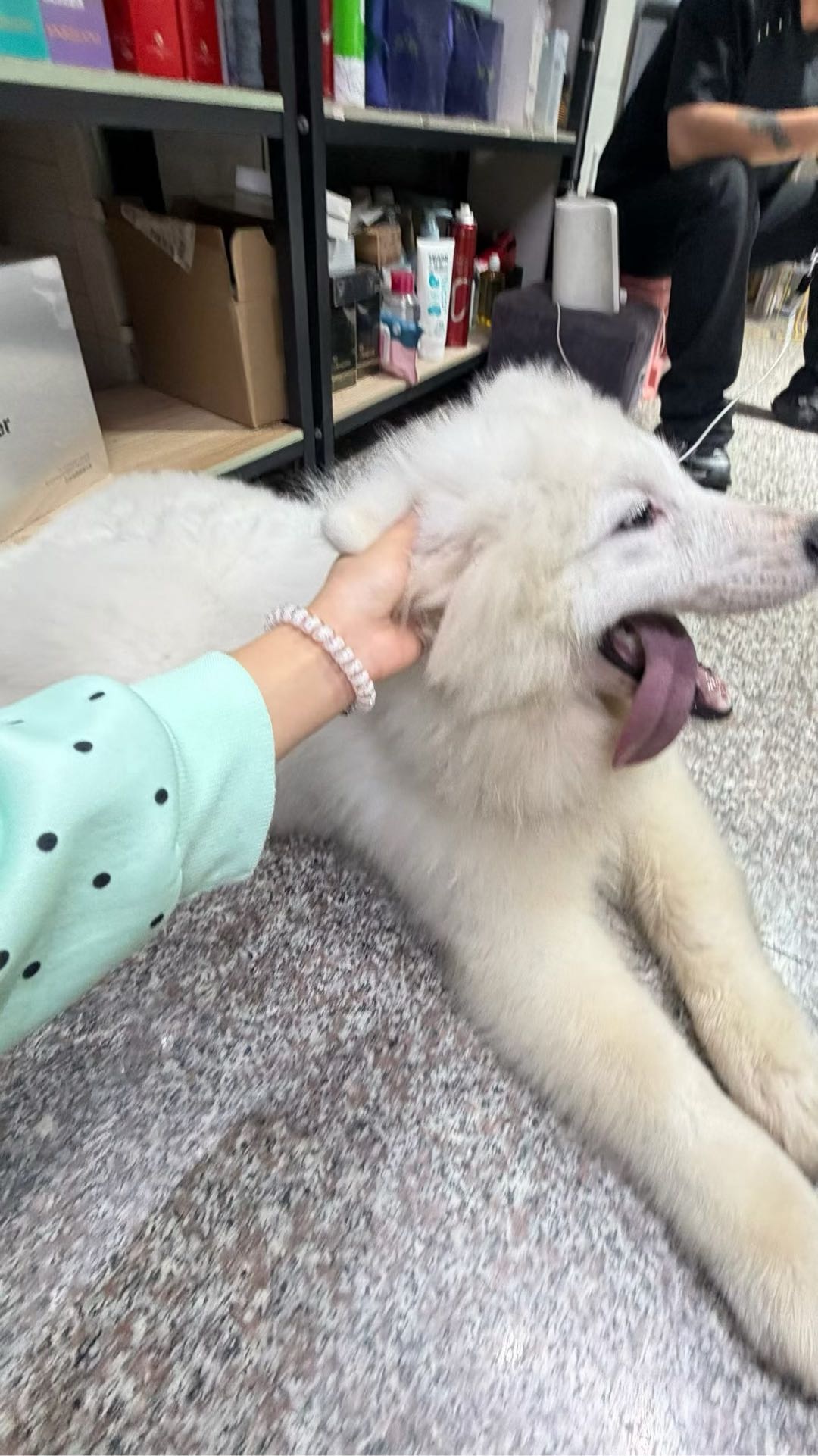 闲置详情
