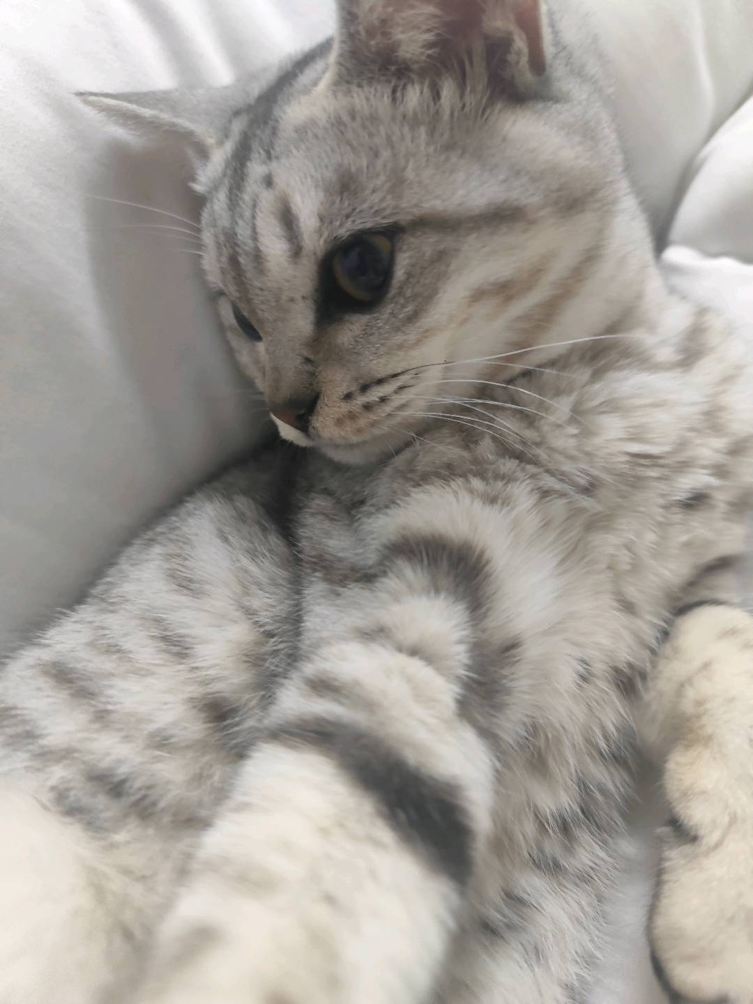 闲置详情