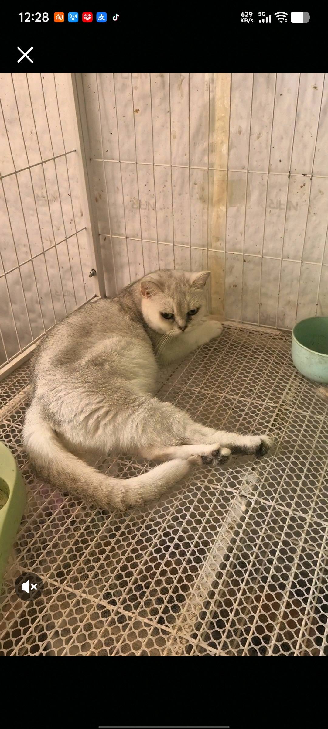 闲置详情