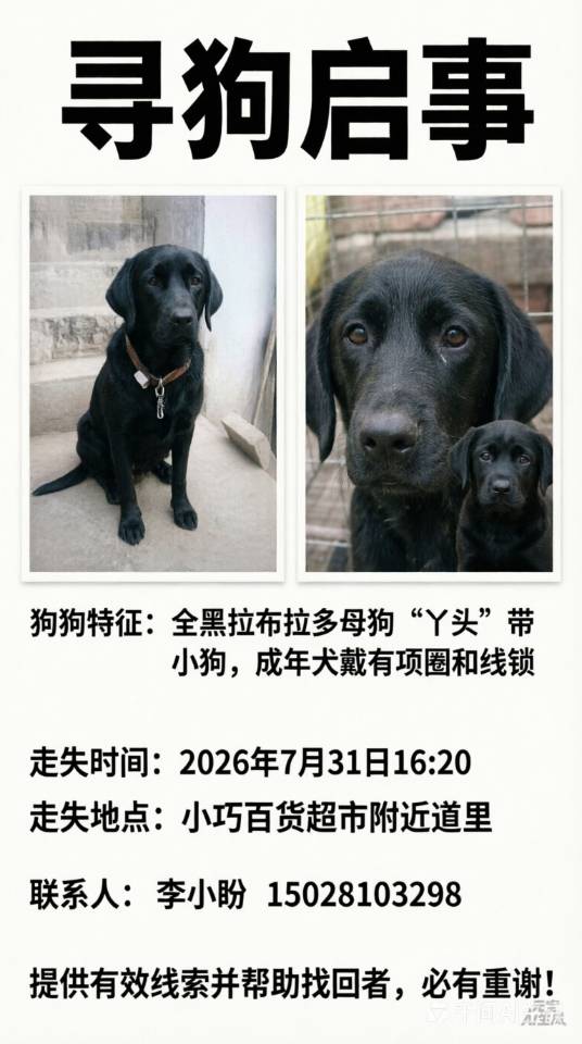 闲置详情