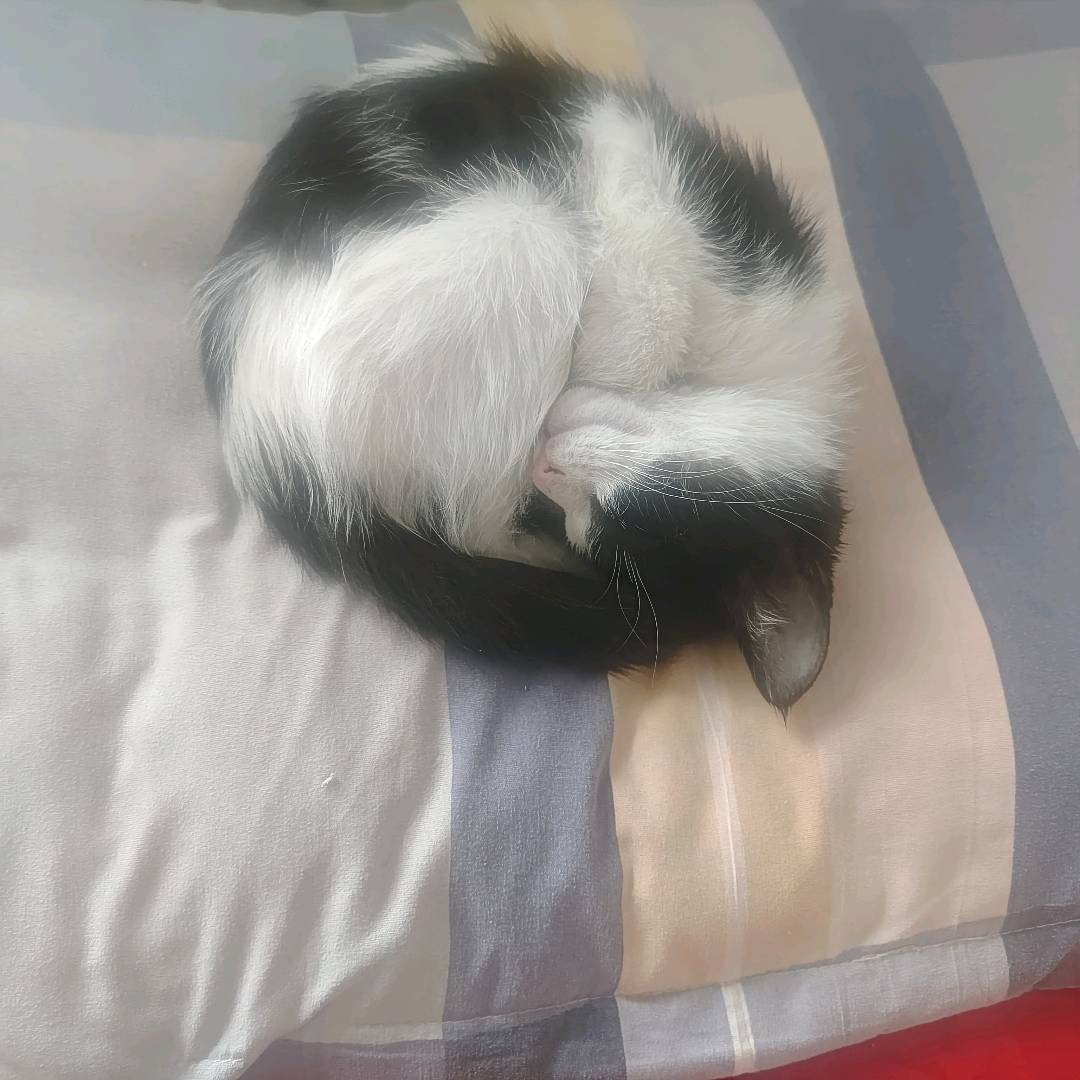 闲置详情