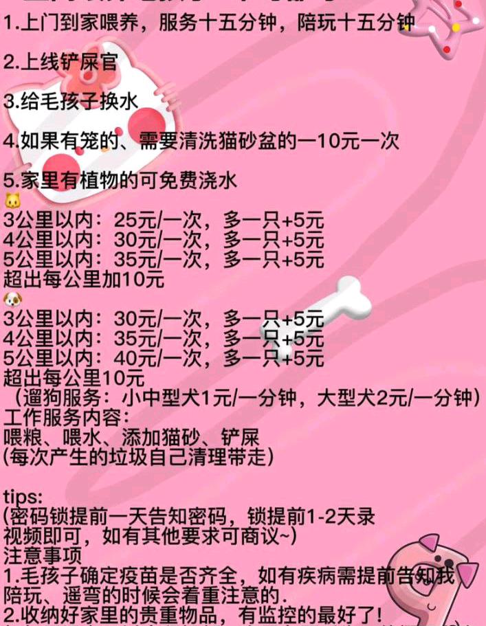 大学生上海遛猫遛狗，七八月份都可
一小时五元起~