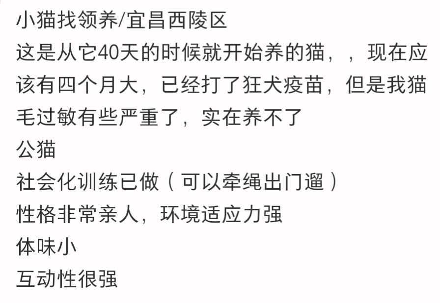 非常亲人，但我过敏，养了第一天就过敏了