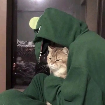 达人动态