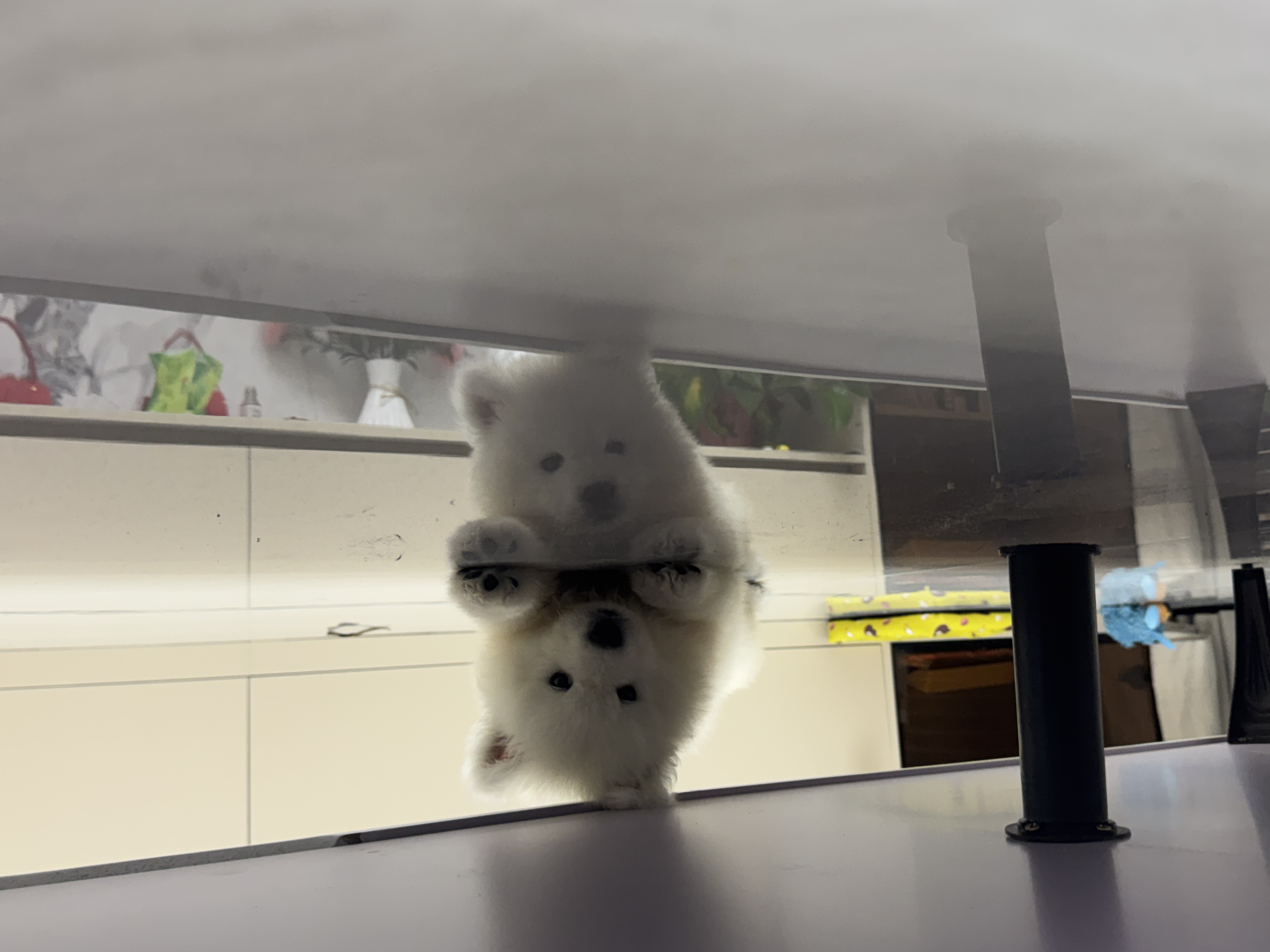 疫苗可赠送