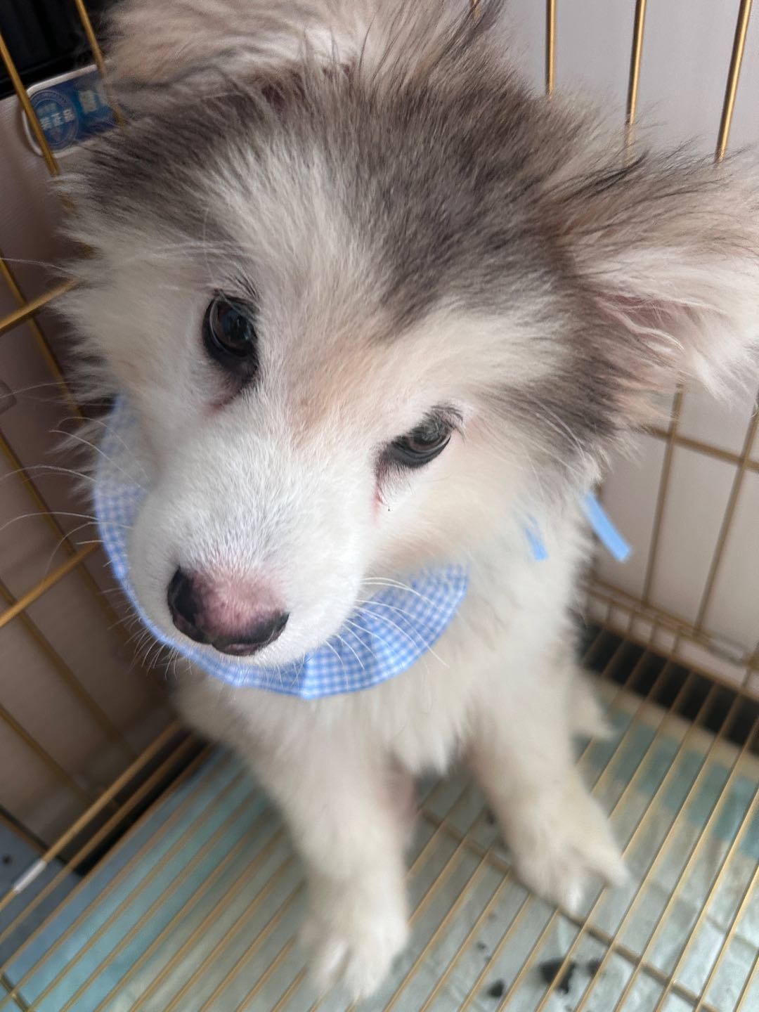 闲置详情