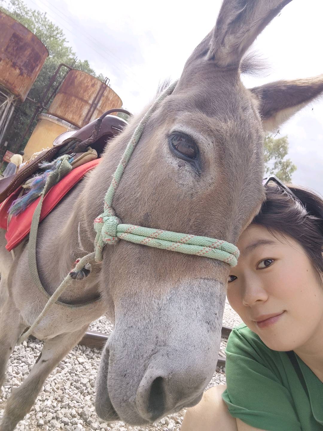 达人动态