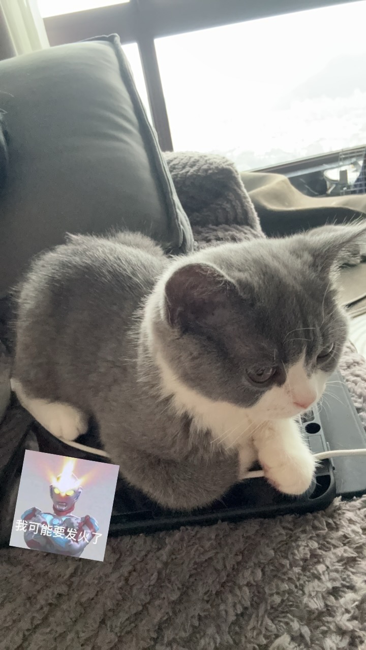 发财