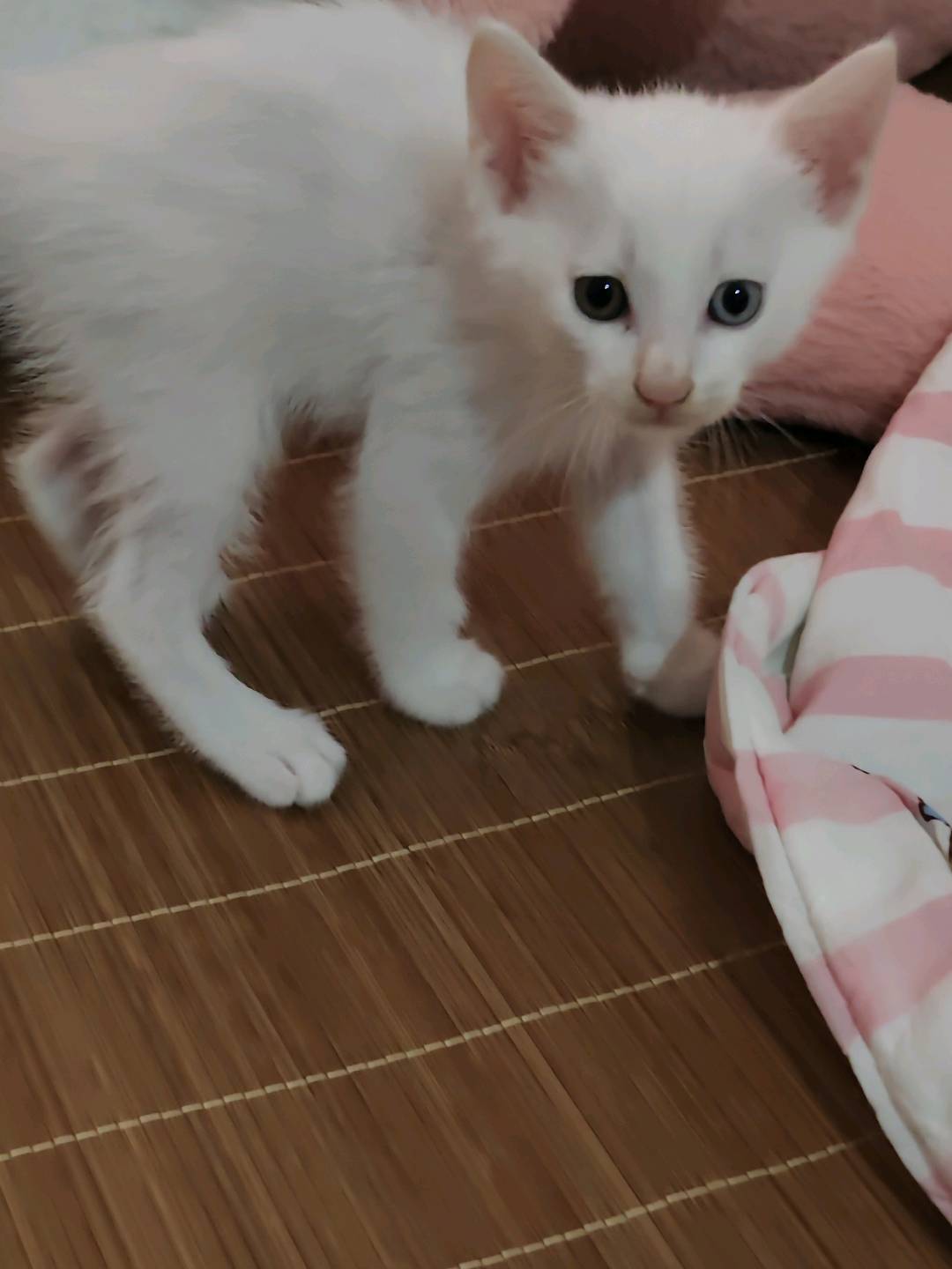 闲置详情