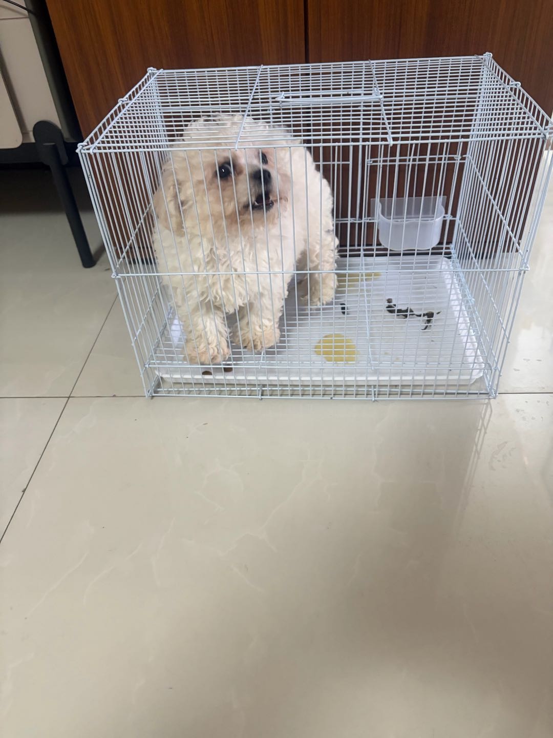 萌宠档案