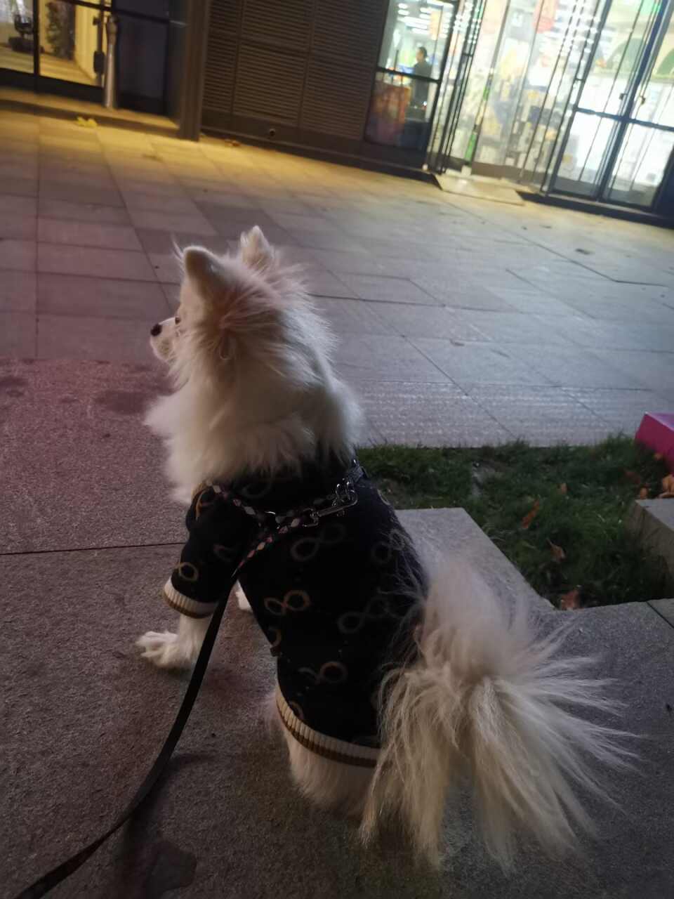 达人动态