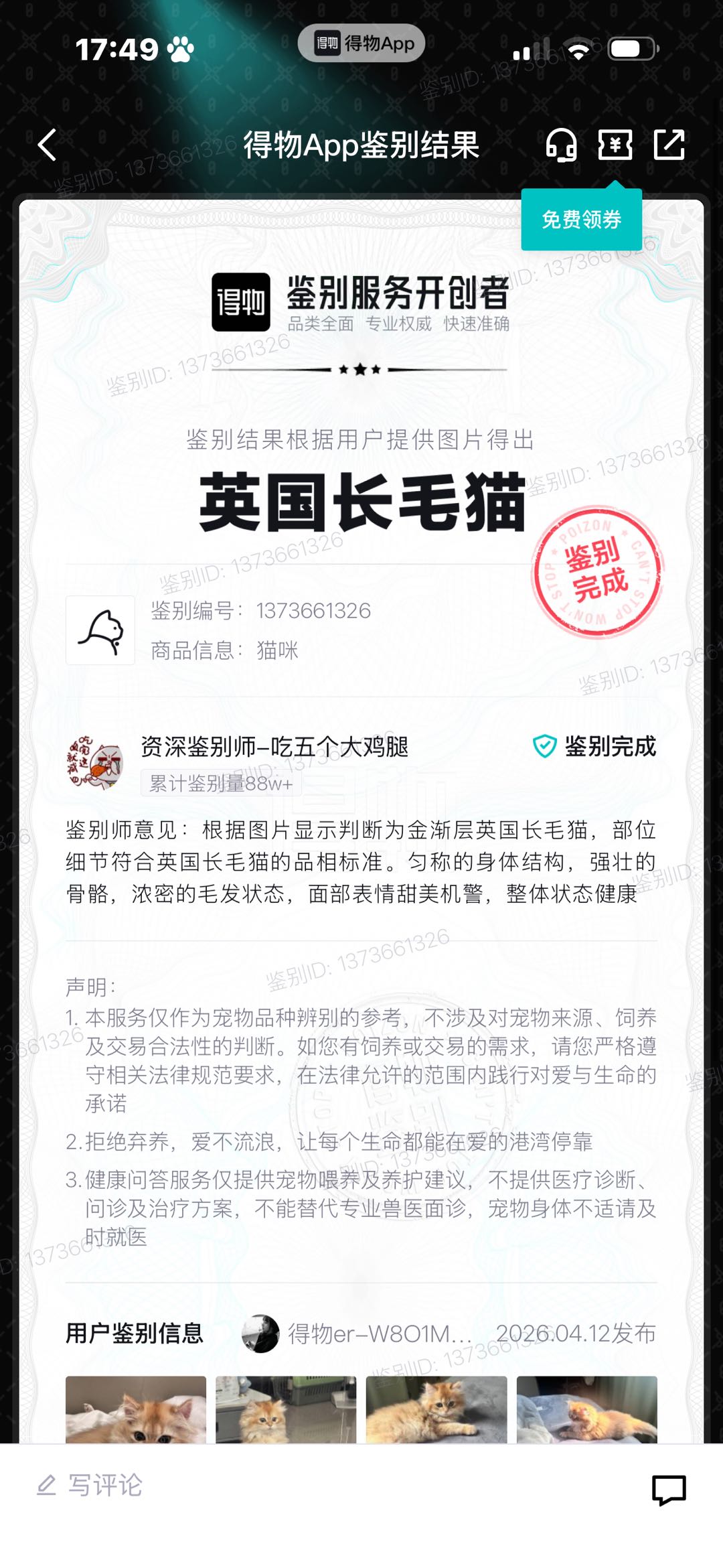长毛金渐层 三四个月的样子 不会随地大小便 很乖 做过两次体外驱虫 打了两针疫苗 会送猫砂 猫砂盆等小猫用品 最近天热开…