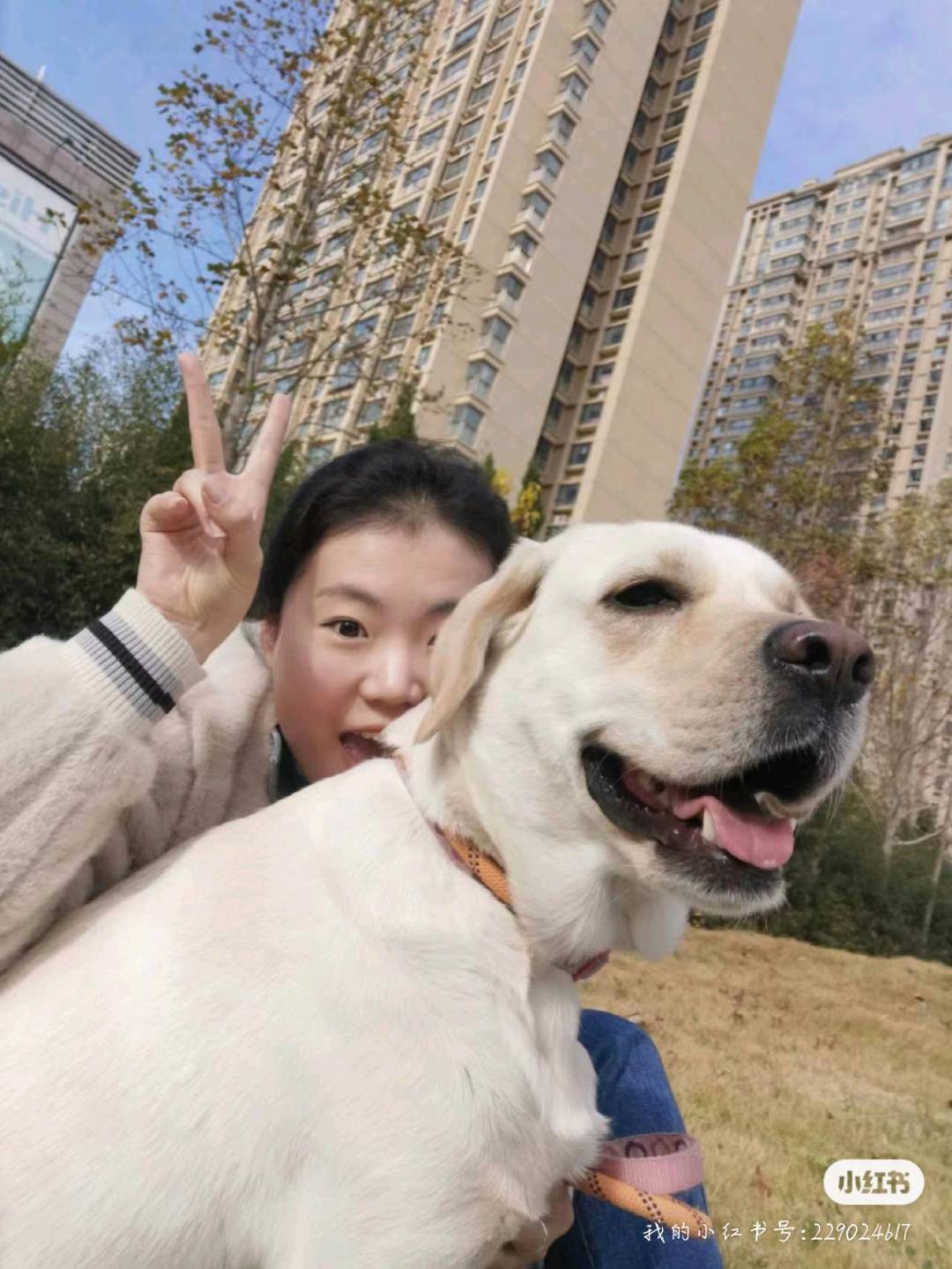 烟台市区接猫咪，狗狗寄养啦！
价格随便啦，自己稀罕毛孩子，希望可以早日实现养宠自由!
出差或者因事不能照顾毛孩子的可以找我呀。欢迎毛孩子家长滴滴我。