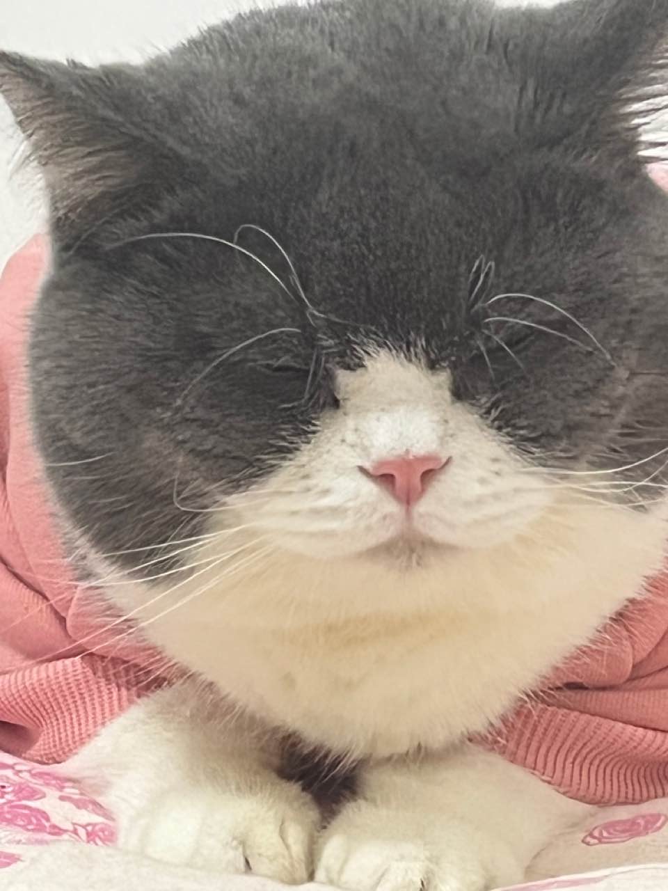 达人动态