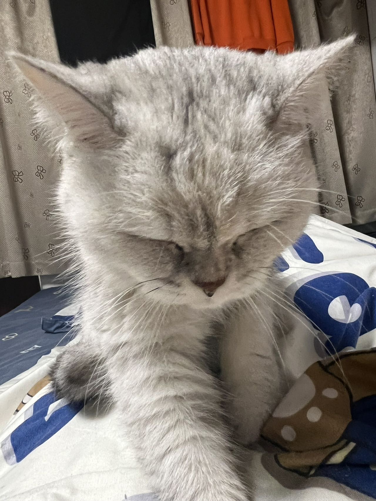 闲置详情