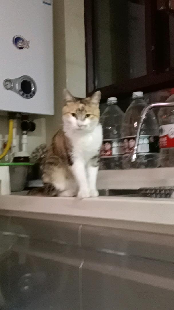 中秋