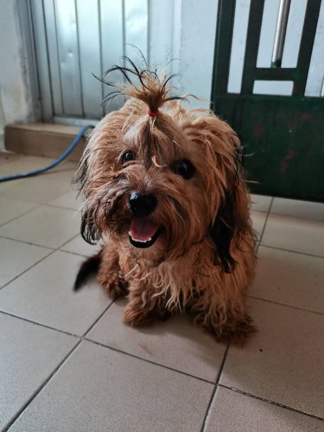 闲置详情