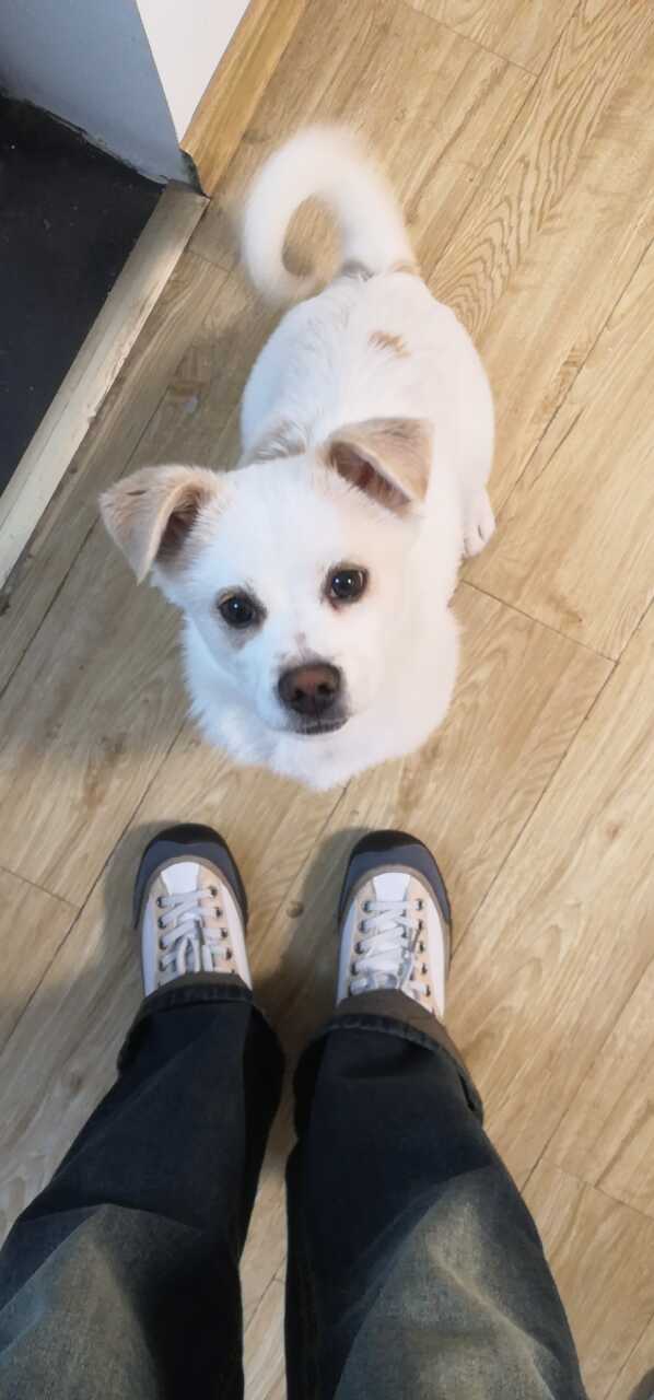 达人动态