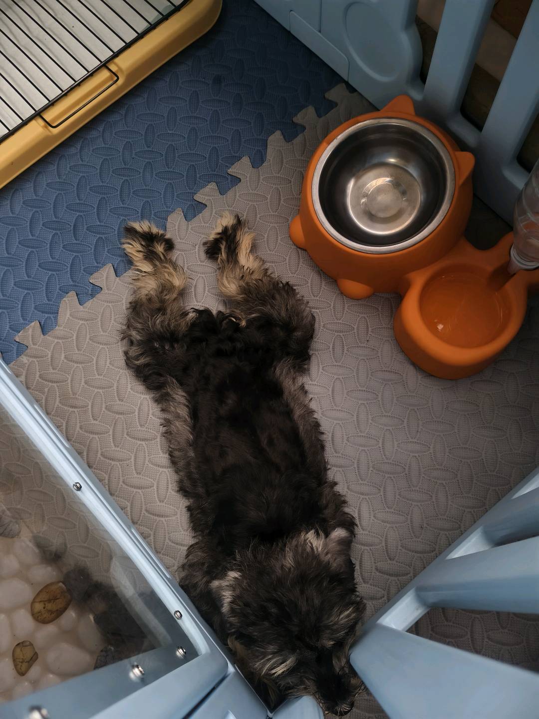 闲置详情