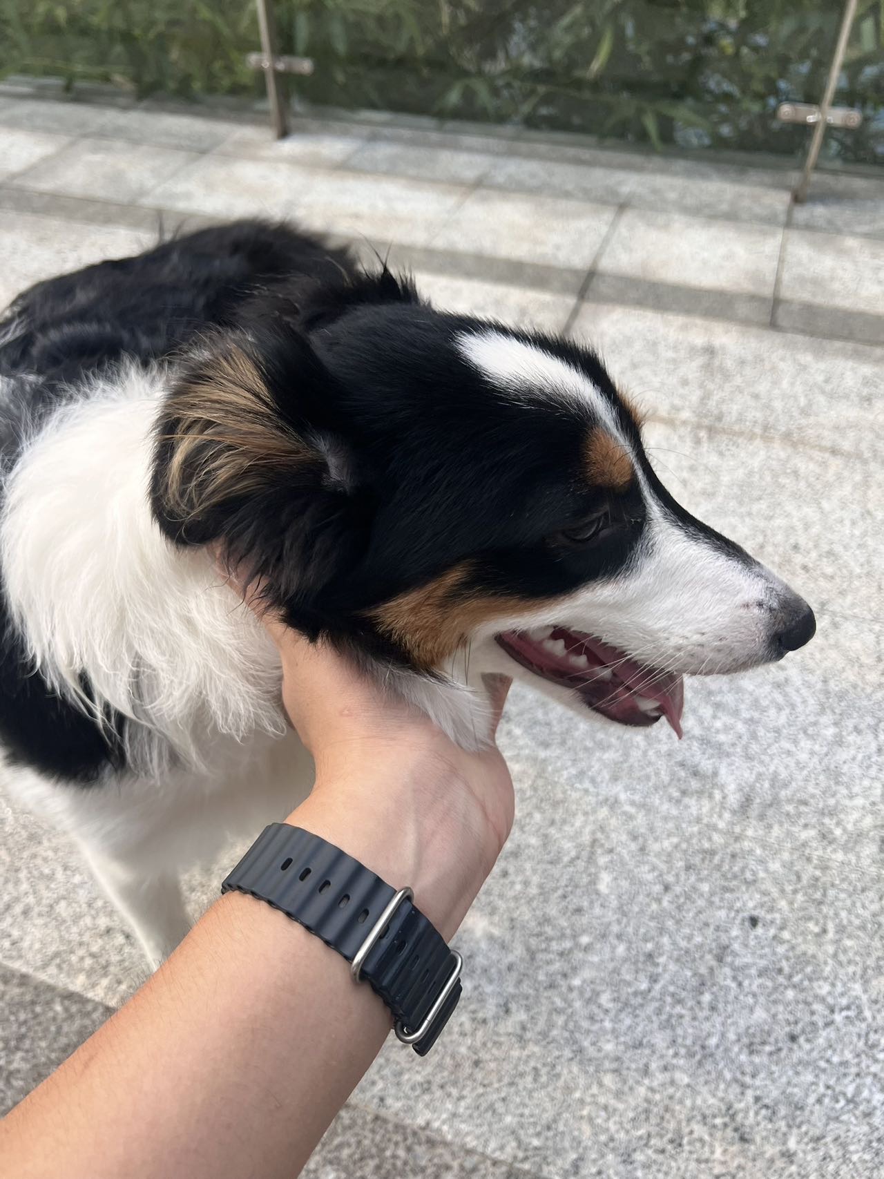 闲置详情
