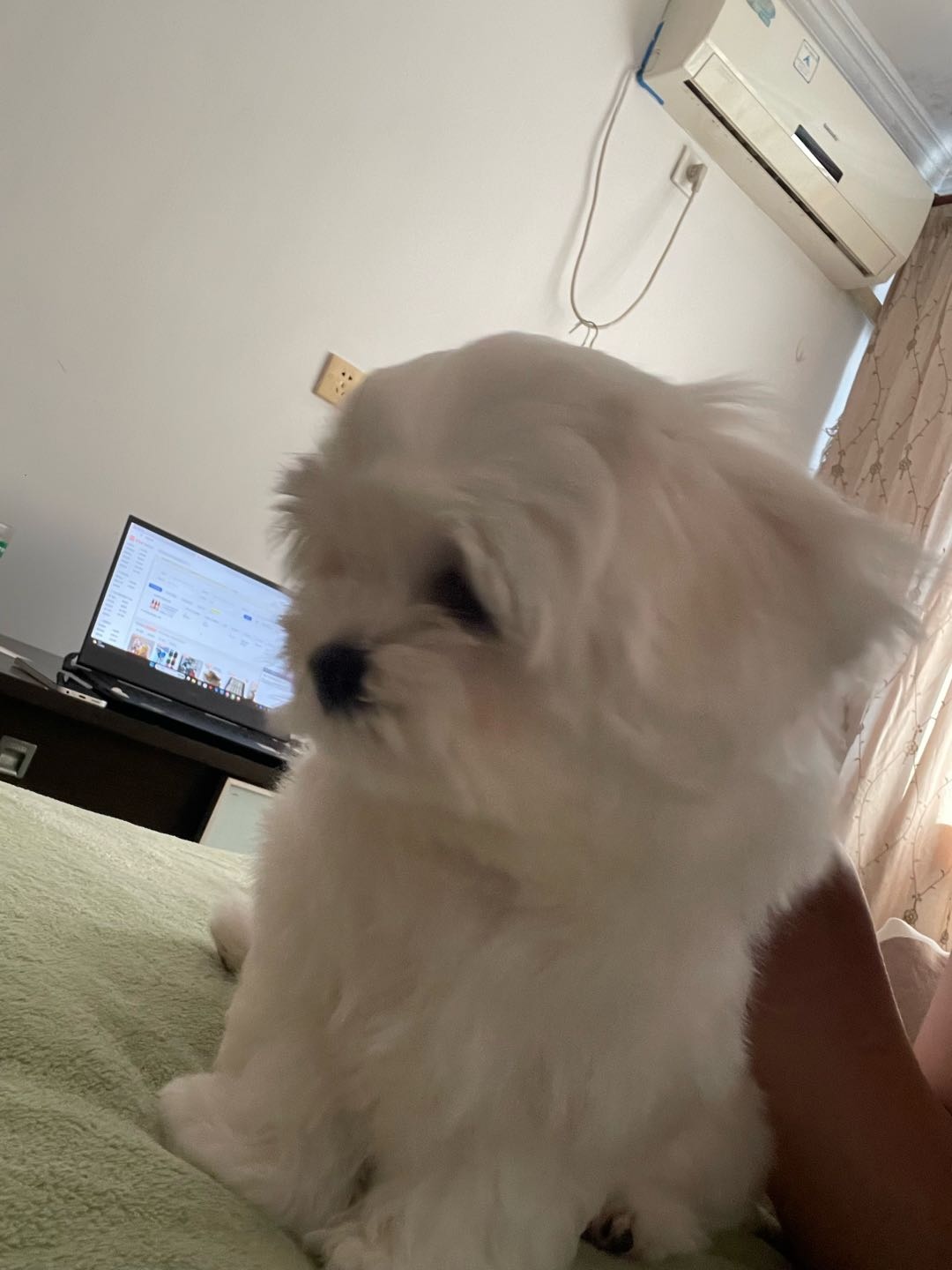 闲置详情