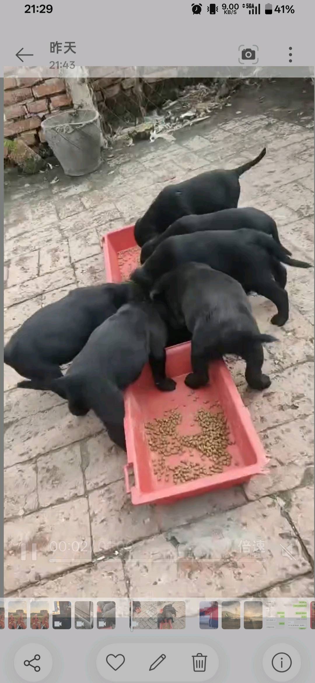 闲置详情