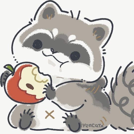 达人动态