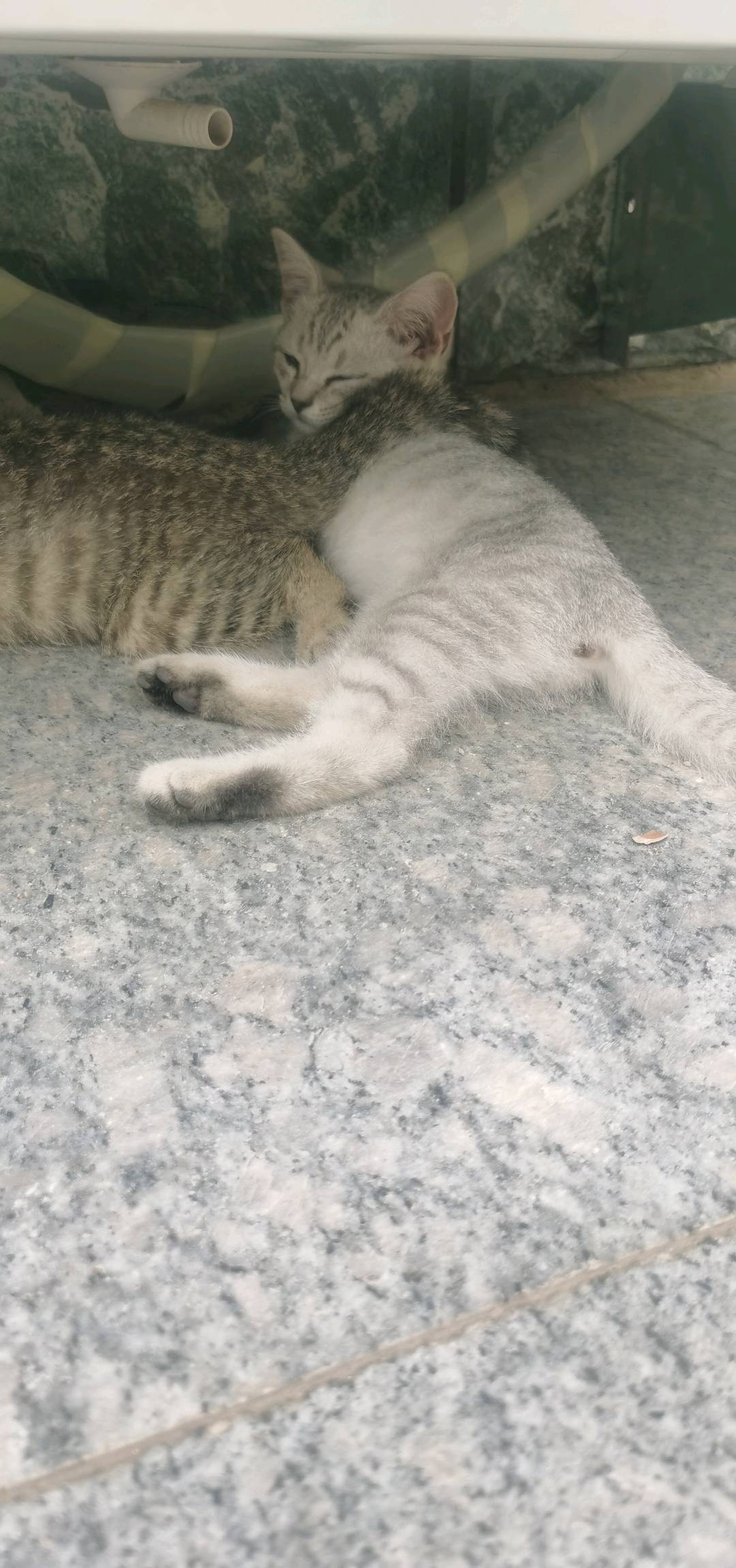 闲置详情