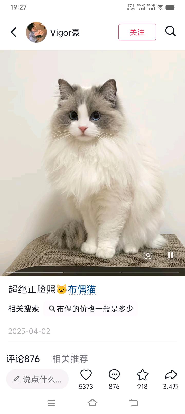 眼睛大大的,毛发很柔顺很喜欢。
