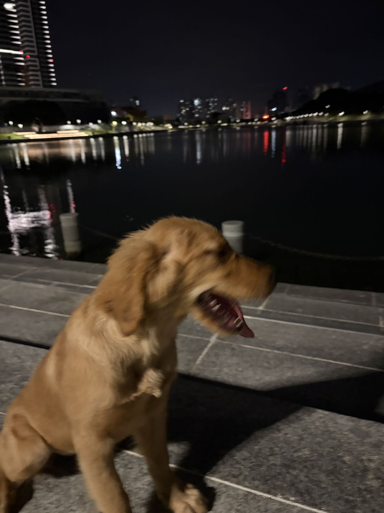 很听话