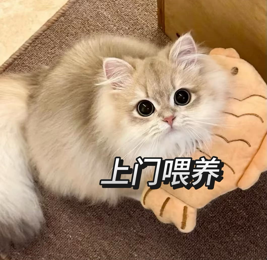 上门喂养，寄养，遛狗
 
服务内容：
 我提供的宠物服务主要面向重庆北碚（水土，和泰，万寿，思源，和润，和丰）的固定地区，重庆其他地区可接受寄养

1】上门喂养服务为固定地区
*0元/一只猫
*5元/一只狗