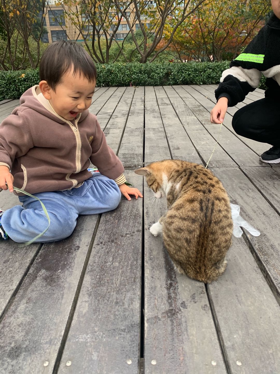 春节*/9-*/** 杭州临平上门喂猫
坐标:临平区龙船坞路68号 美丽致大厦
**标准:
1公里内:*5元/次,多一只加5元
3公里内: 35元/次,多一只