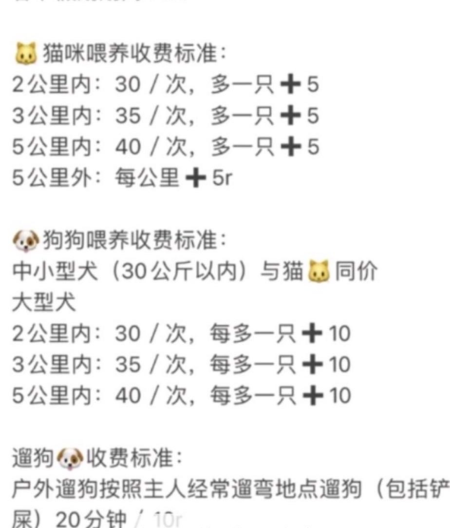 长沙德思勤上门喂猫