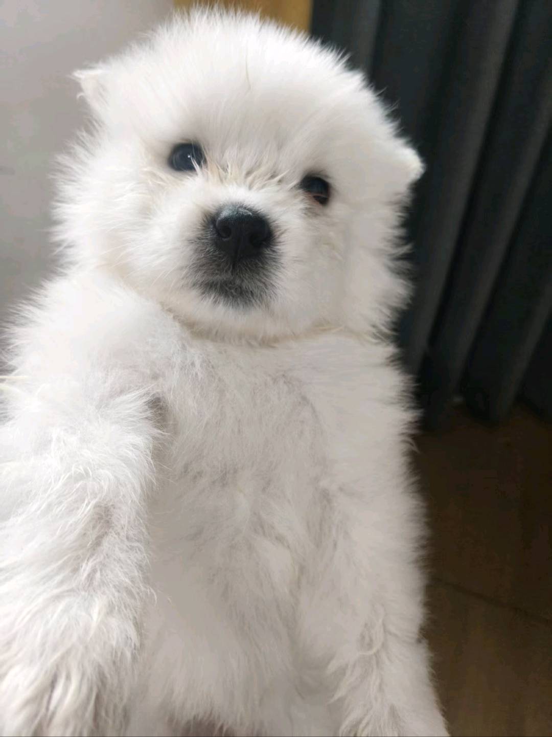 闲置详情