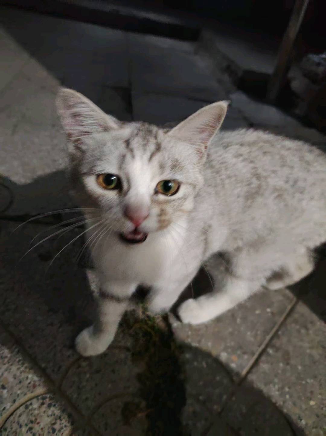 闲置详情