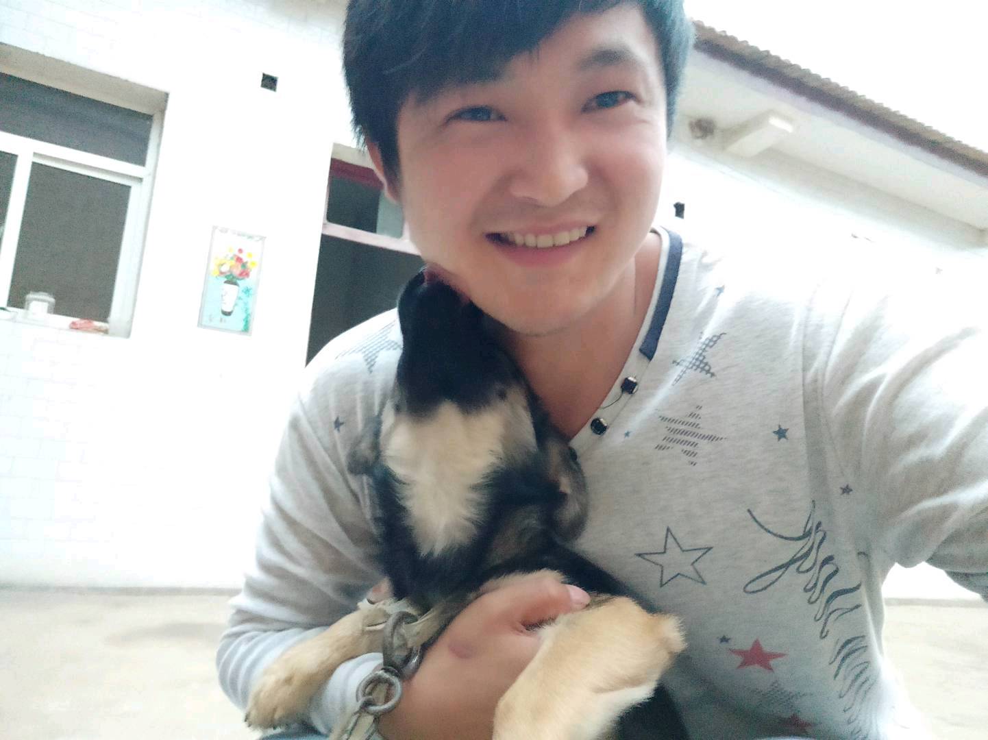 狗狗萌宠档案