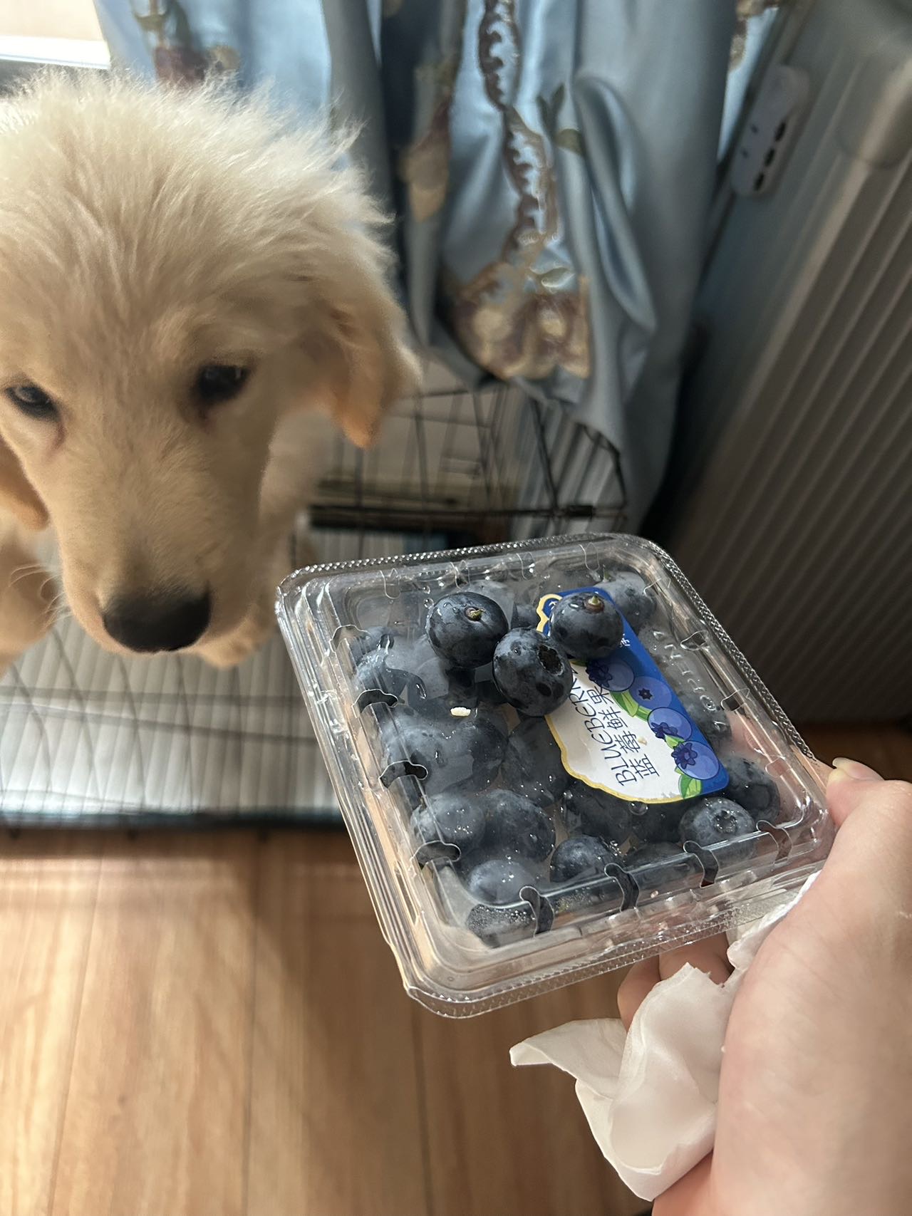 闲置详情
