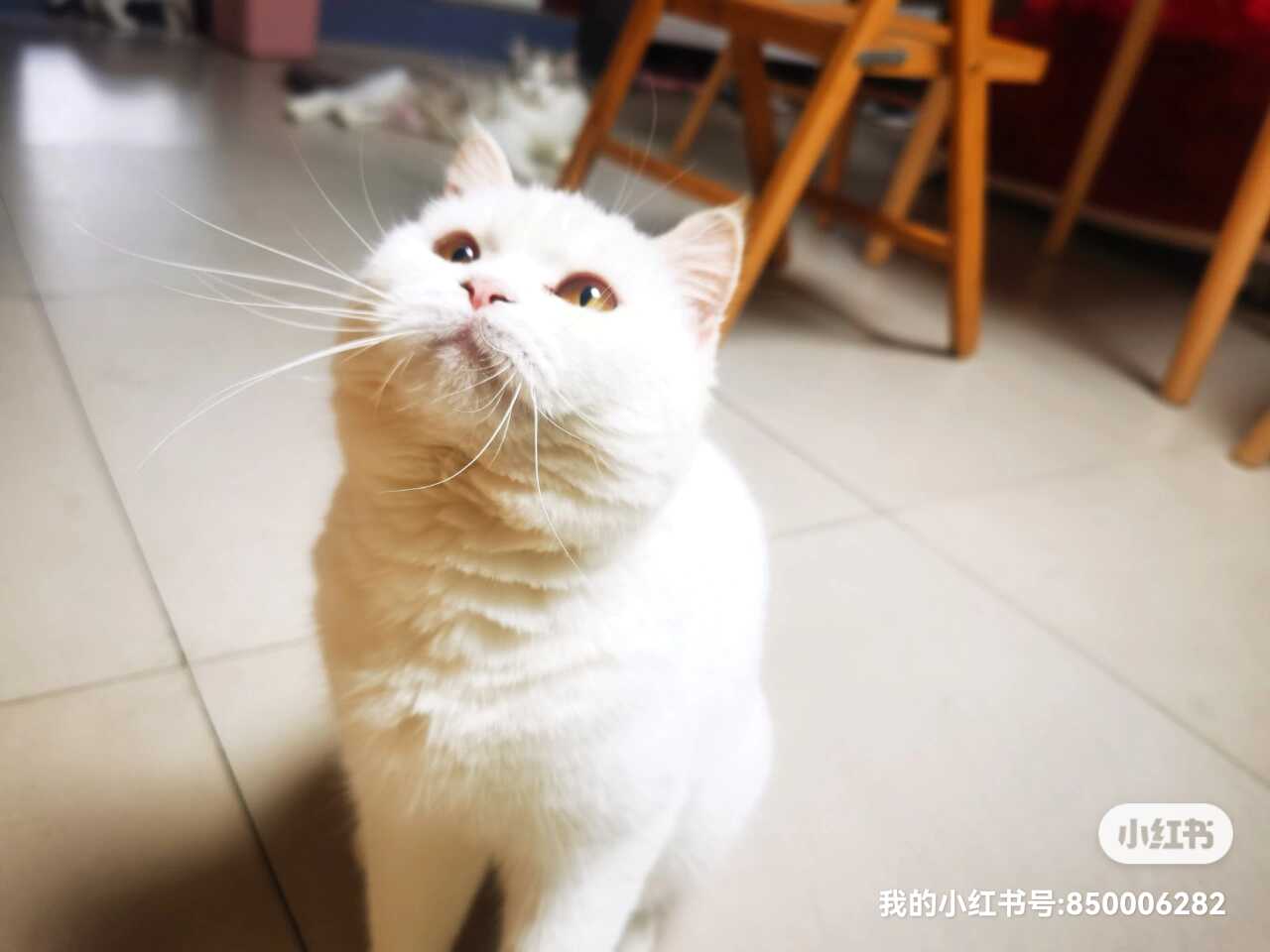达人动态