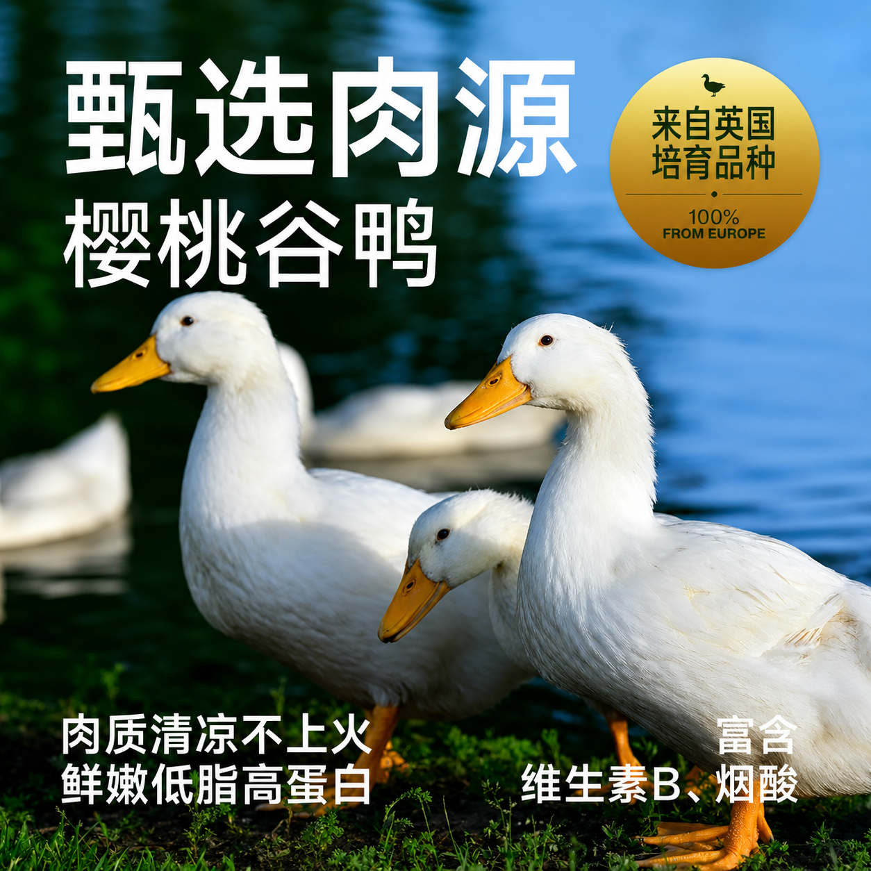 纯福酶解小型犬粮鸭肉梨通用型犬粮幼犬成犬冻干专用粮 小型犬(鸭肉梨)1.5kg【单包装】 4