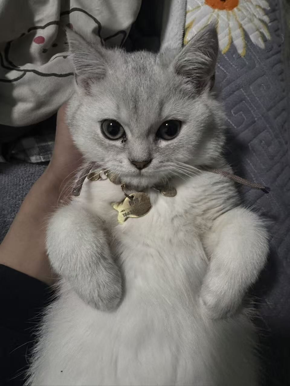 闲置详情