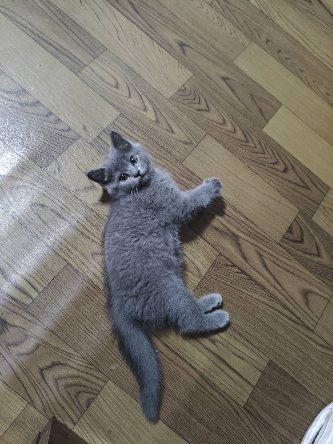闲置详情