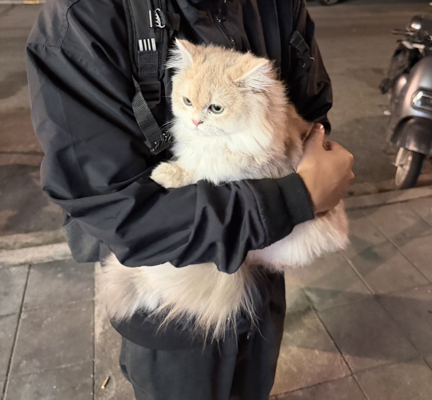 闲置详情