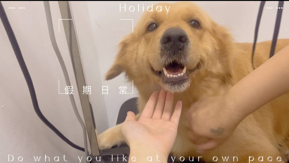 狗狗(15-20kg)洗澡