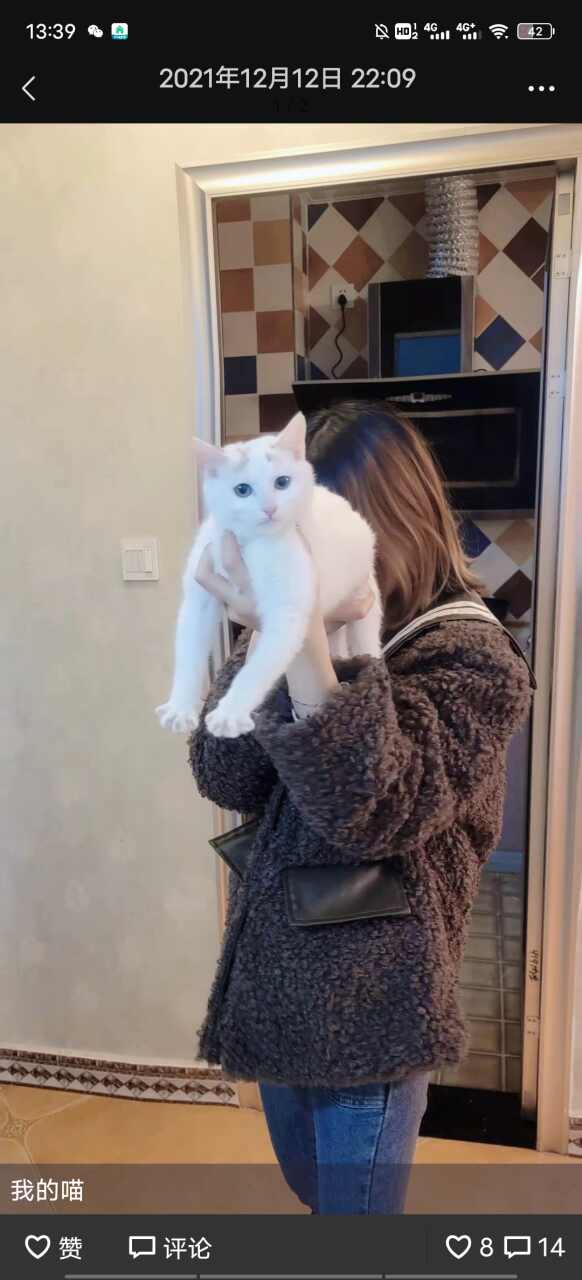 本人喜欢小猫小狗有需要遛狗！喂狗的(限不胆小的小犬)！有遛狗视频！也预约国庆遛狗！每分钟1块！也可以上门喂猫(更换食物，添加。洗碗。更换猫砂等(有需要的联系我