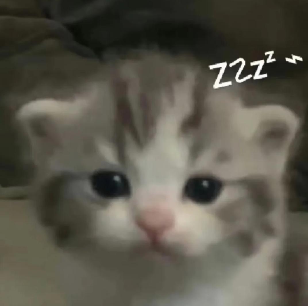 达人动态