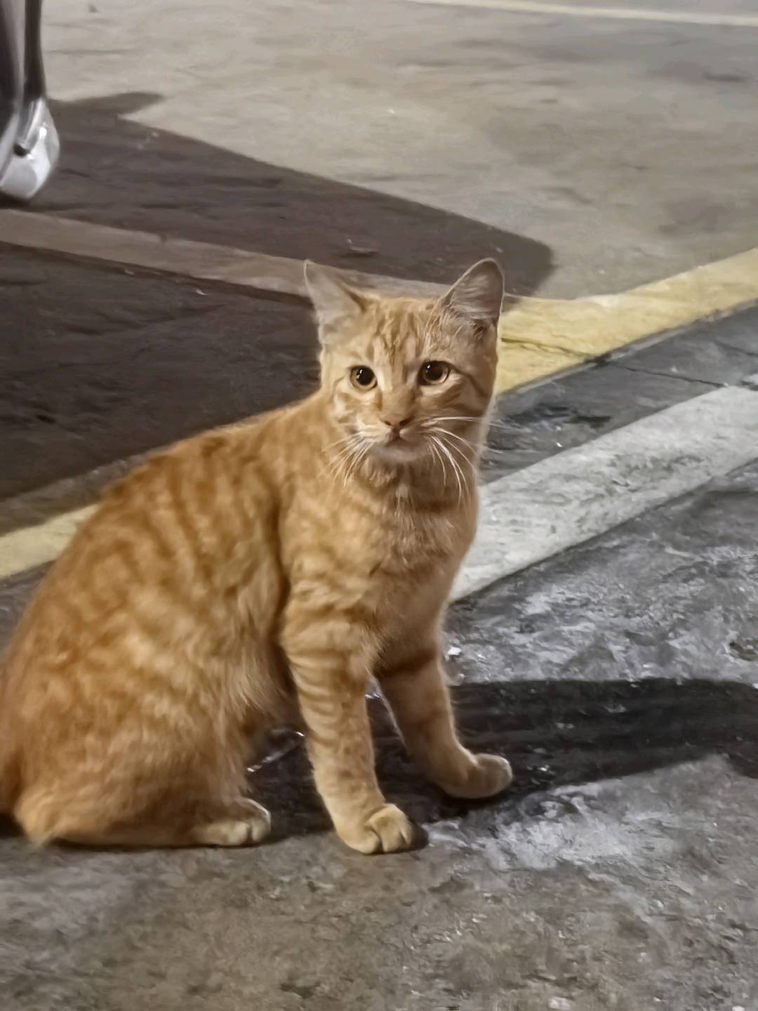 哈哈